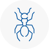 Ant Removals In Colne