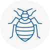 Bed Bug Extermination In Colne