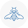 Bee Nest Removal Colne