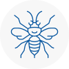 Colne Hornet Nest Removals