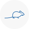 Mice Exterminators In Colne