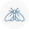 Moth Control Specialists In Colne