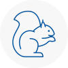 Colne Rodent Removals